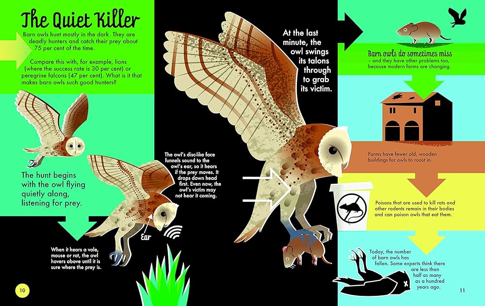 In the Animal Kingdom