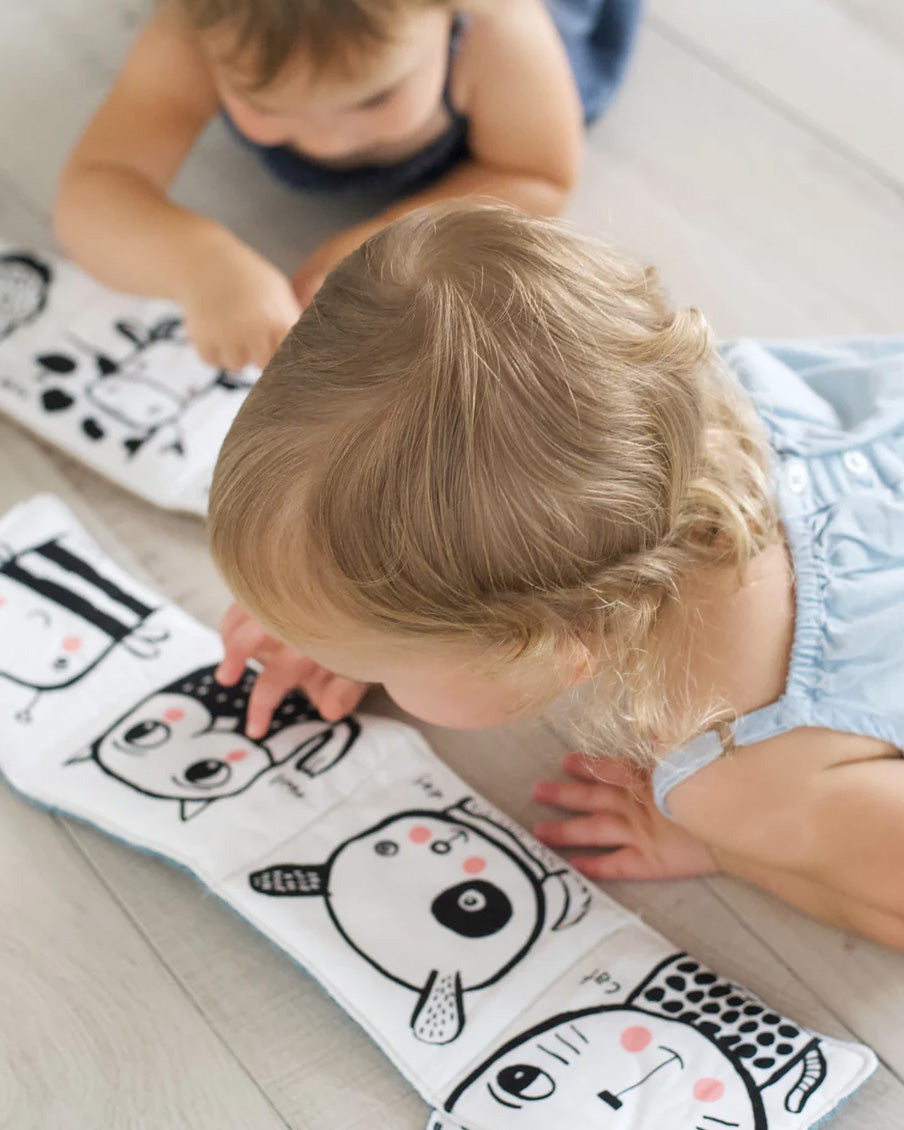 Baby's First Soft Book: Friendly Faces In The Garden