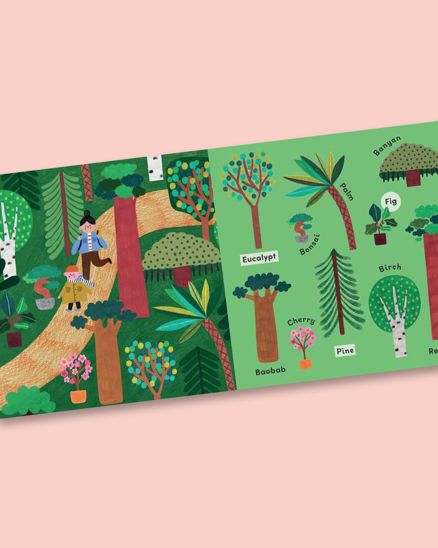 Big Wide Words In The Neighbourhood