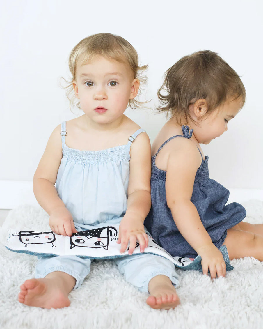 Baby's First Soft Book: Friendly Faces In The Wild