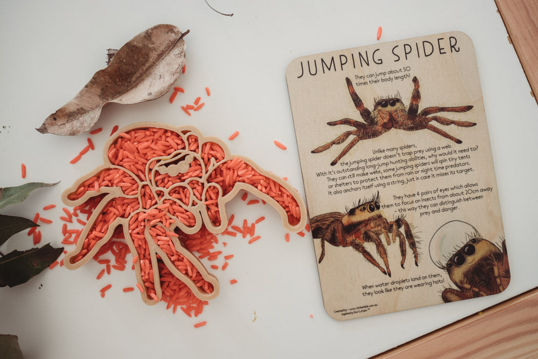 Jumping Spider Eco Cutter