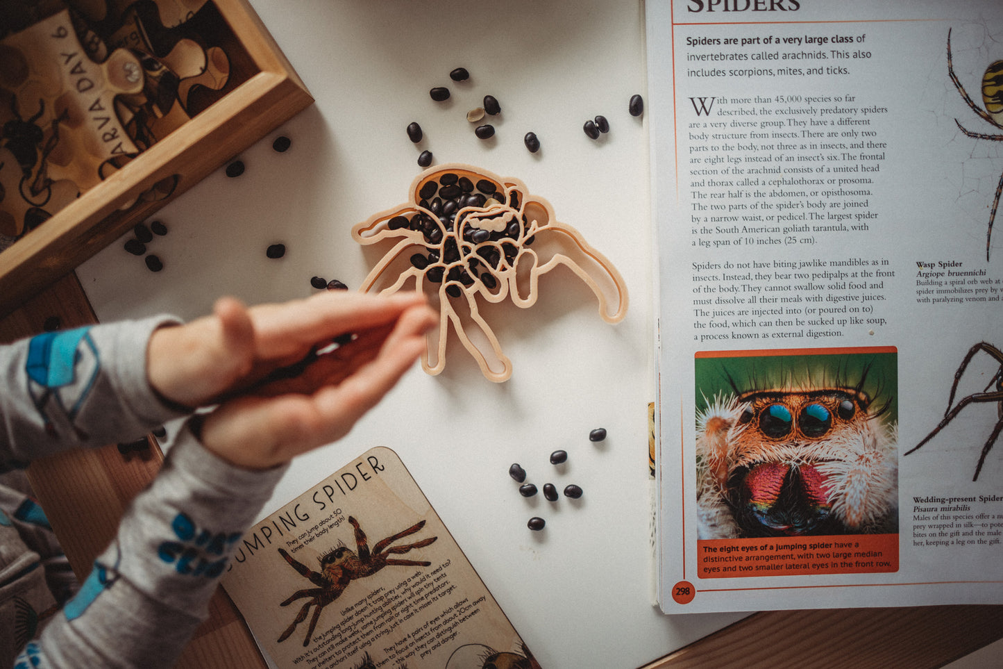 Jumping Spider Eco Cutter