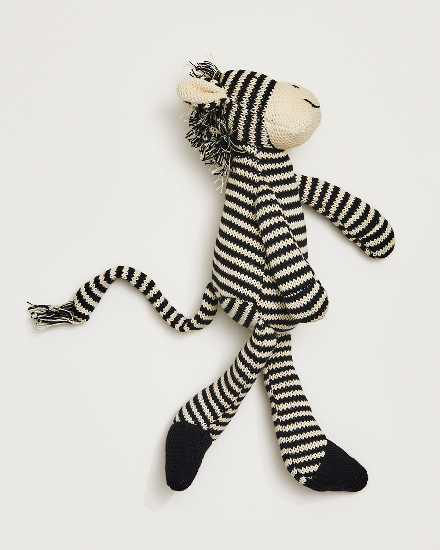 Zac The Zebra
