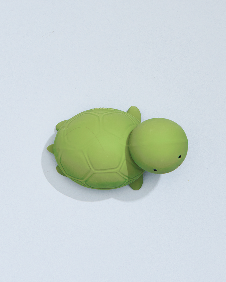 Turtle Rattle and Teether