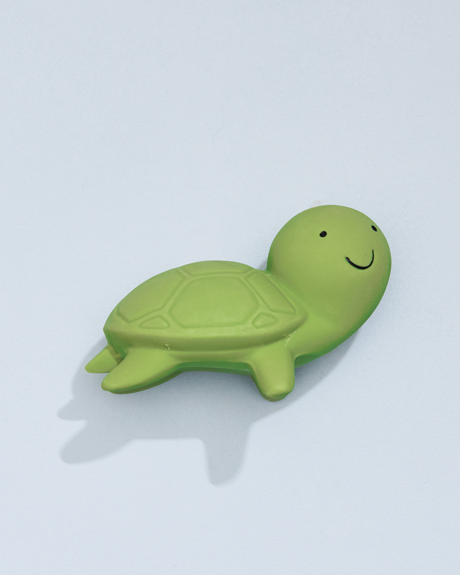 Turtle Rattle and Teether