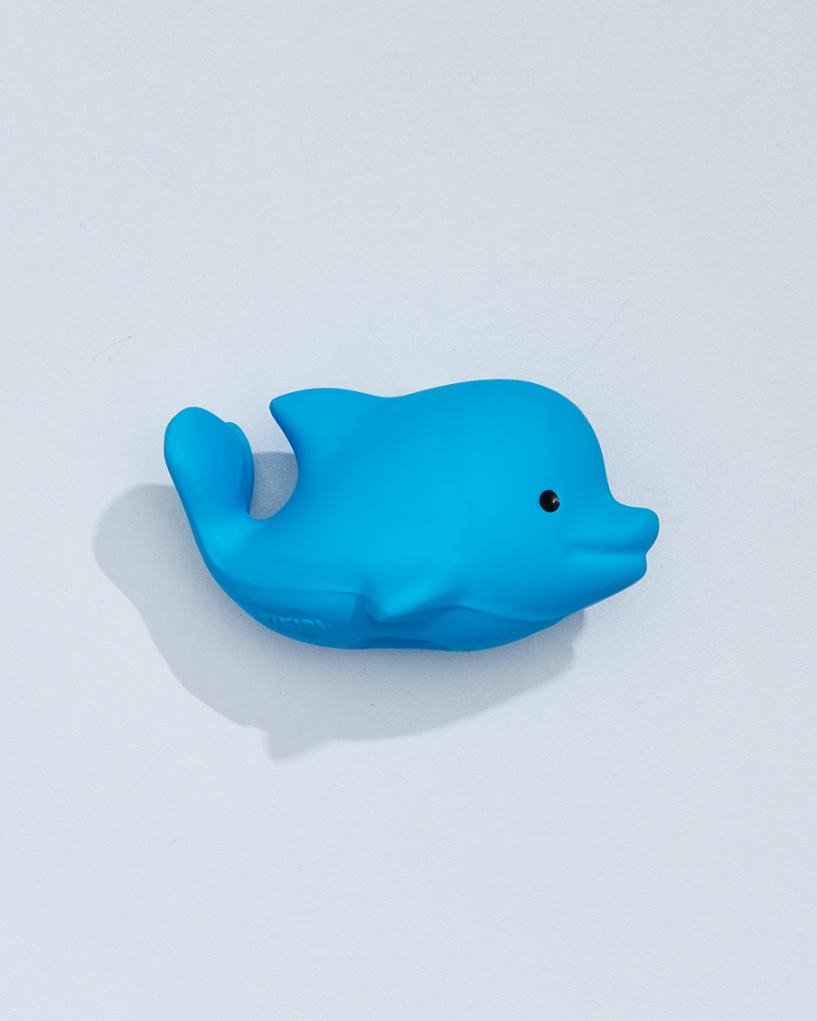 Dolphin Rattle and Teether