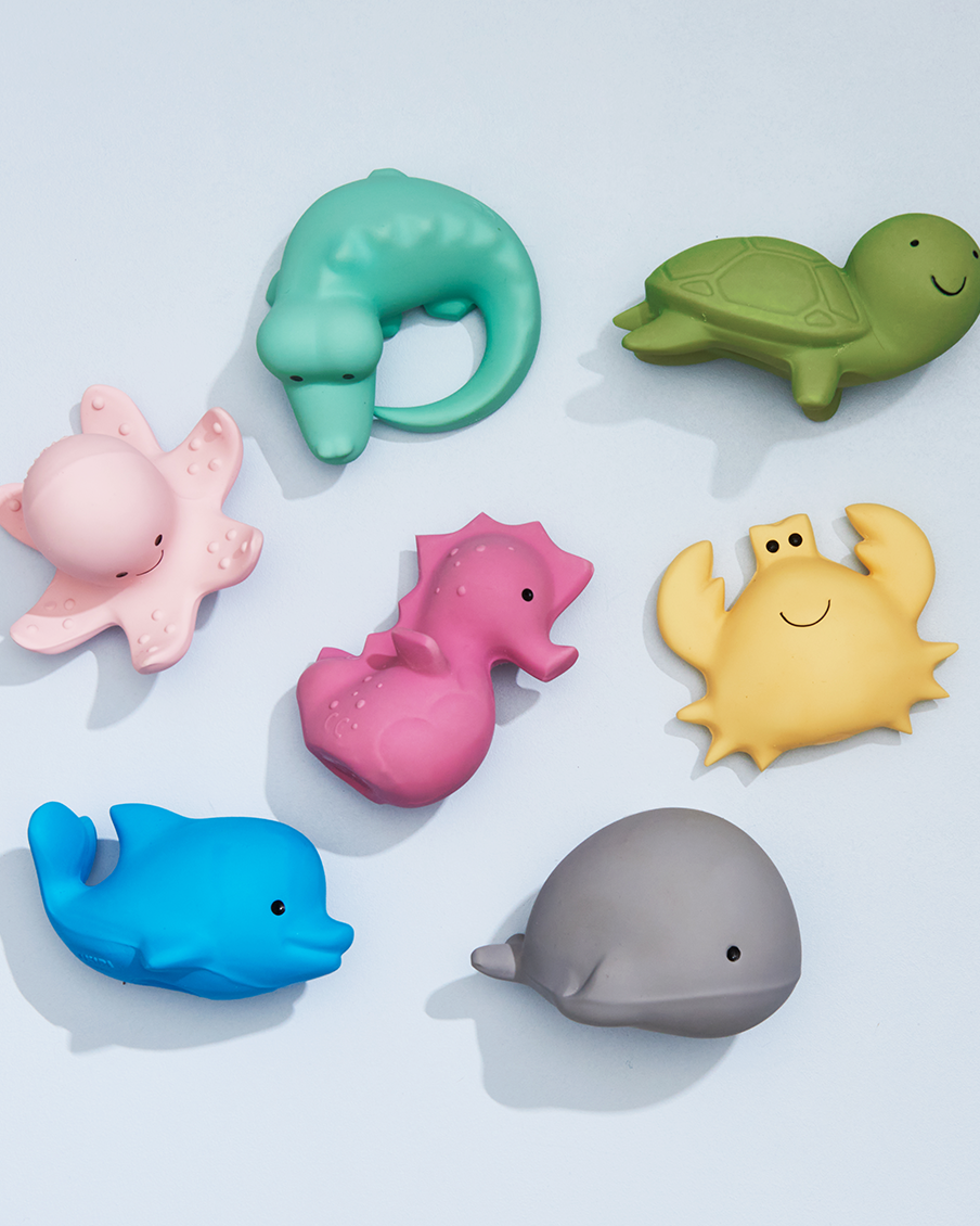 Dolphin Rattle and Teether