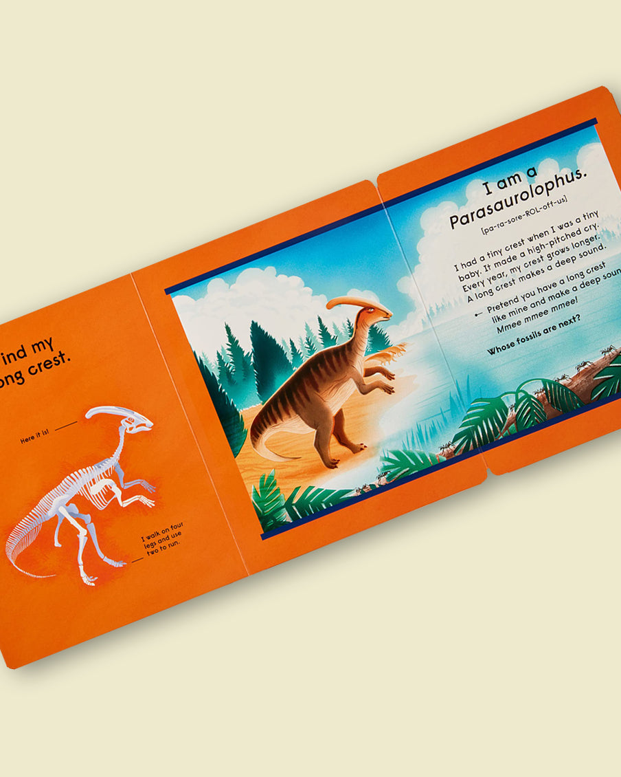 Who's That Dinosaur? An Animal Guessing Game