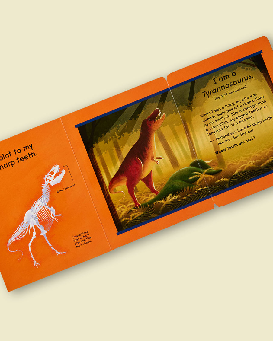 Who's That Dinosaur? An Animal Guessing Game