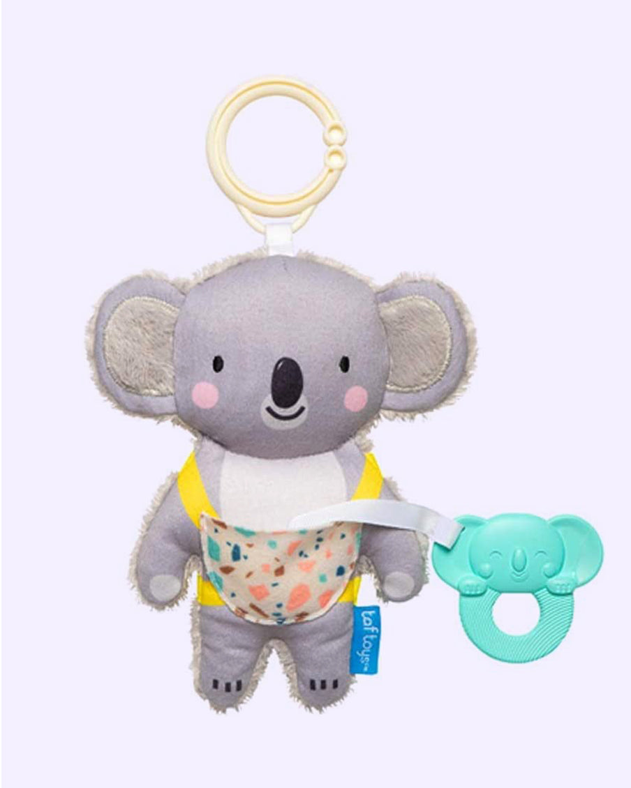 Kimmy the Koala