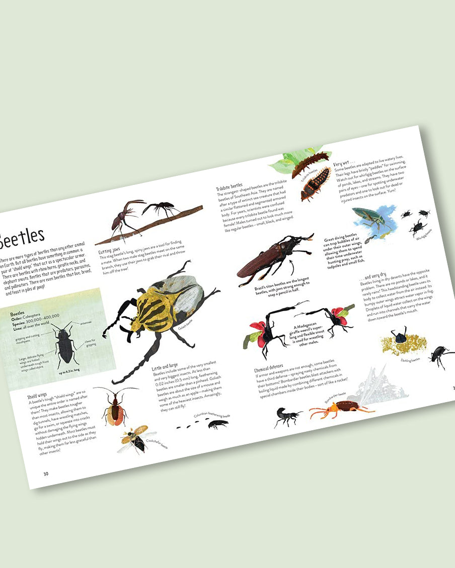One Million Insects