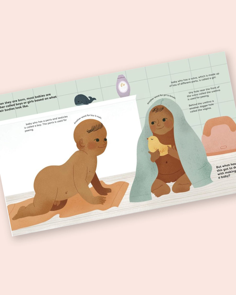 Making A Baby: An Inclusive Guide To How Every Family Begins