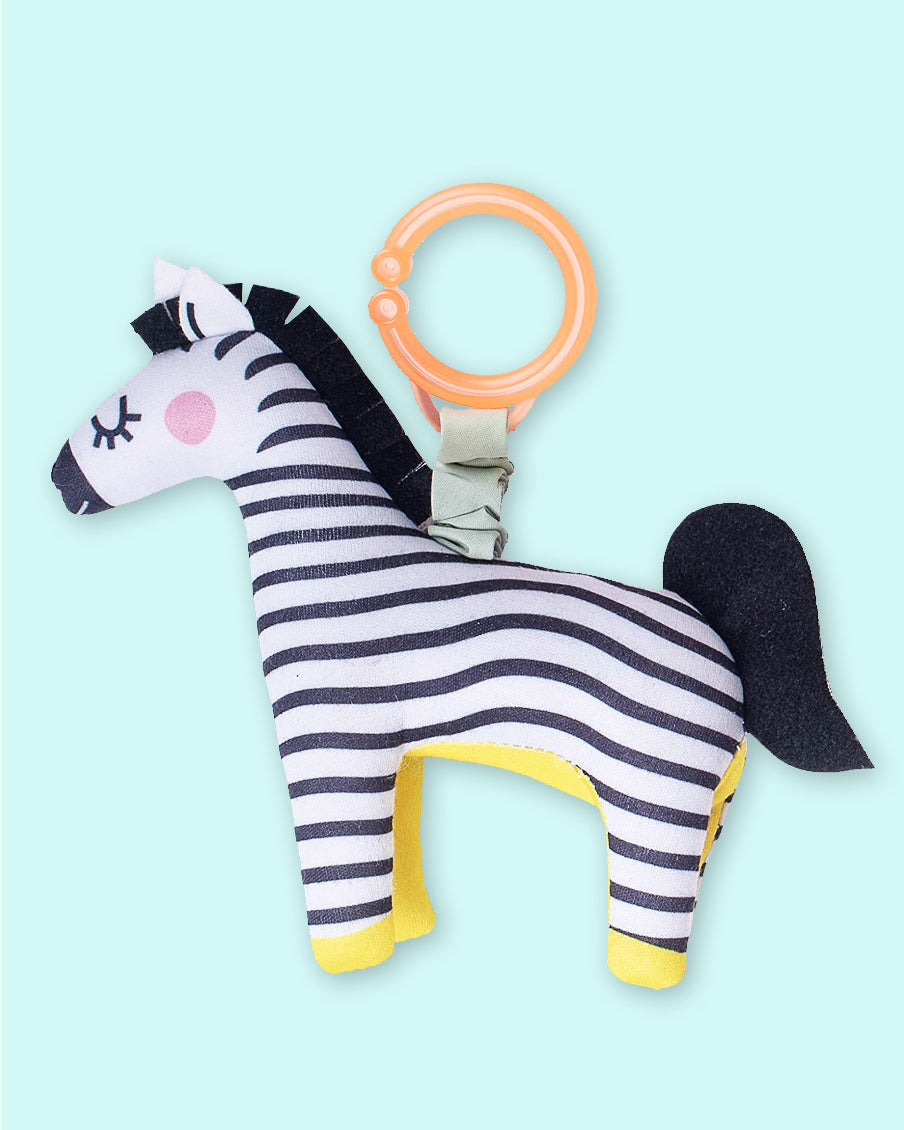 Dizi the Zebra