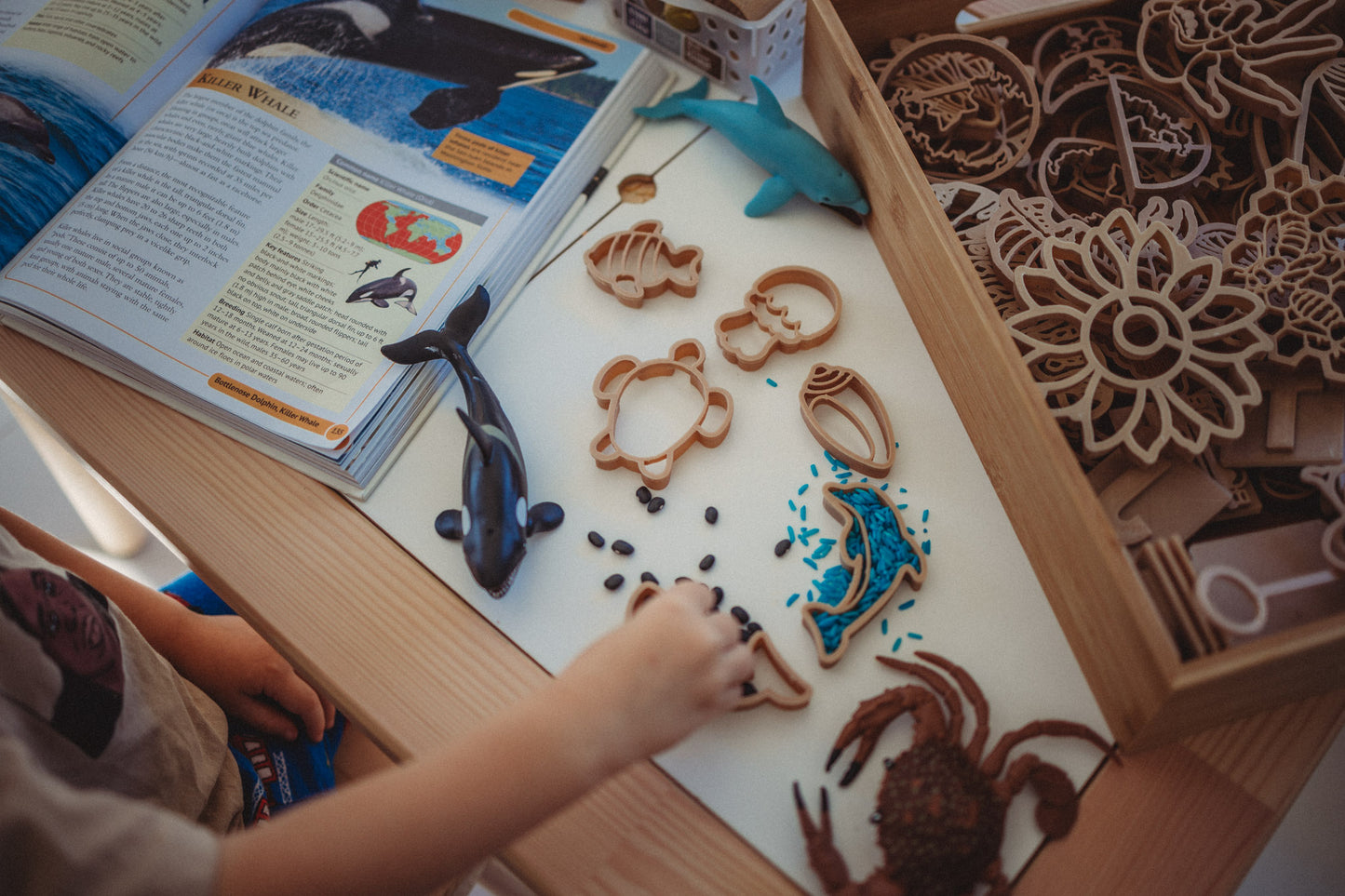 Mini Under The Sea Eco Cutter Set