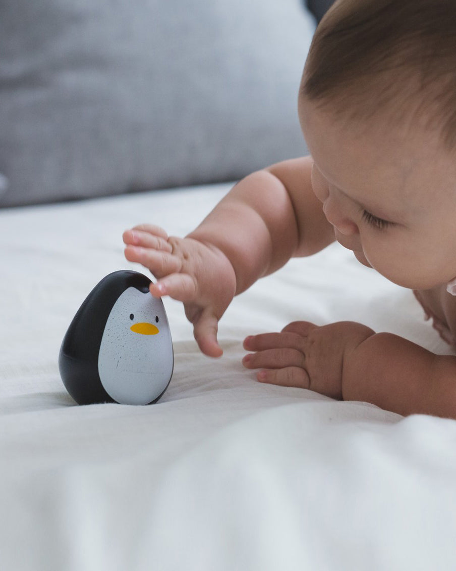 Roly Penguin