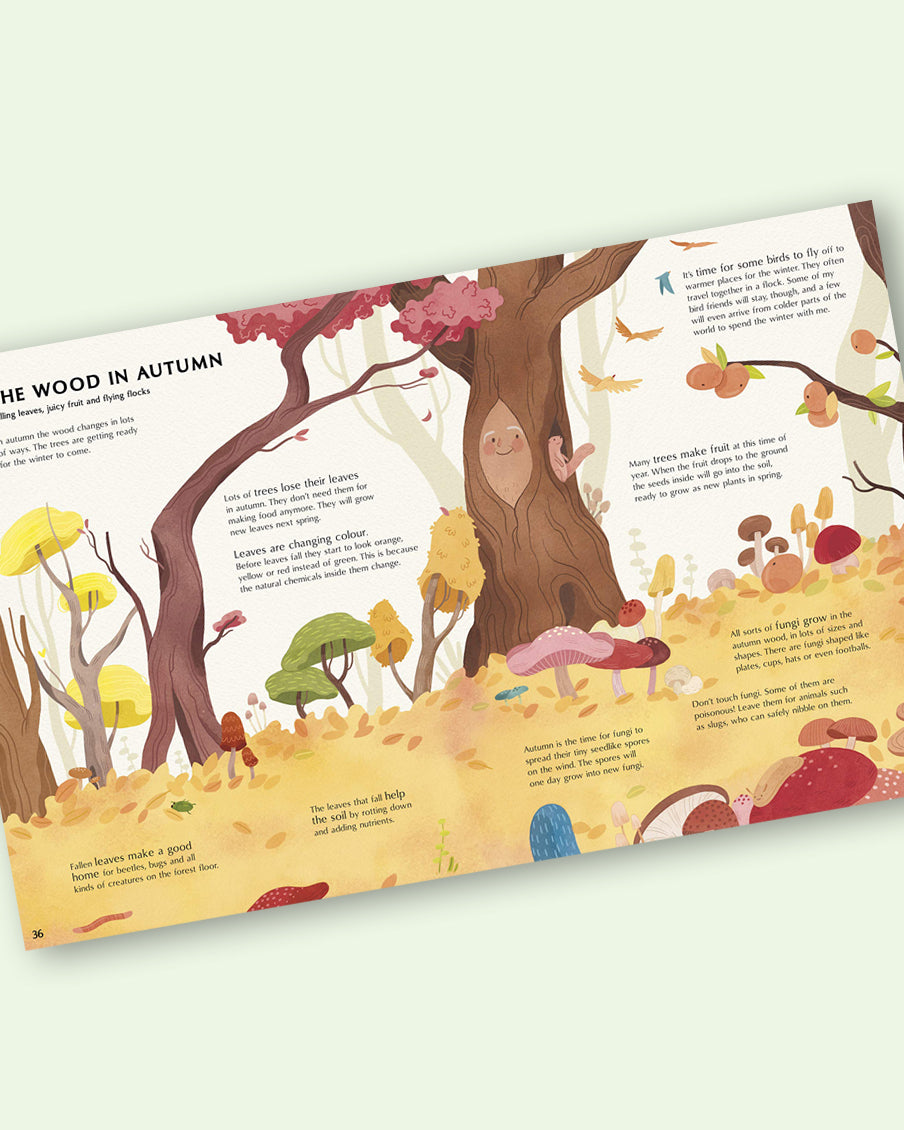 The Secret Life of Trees