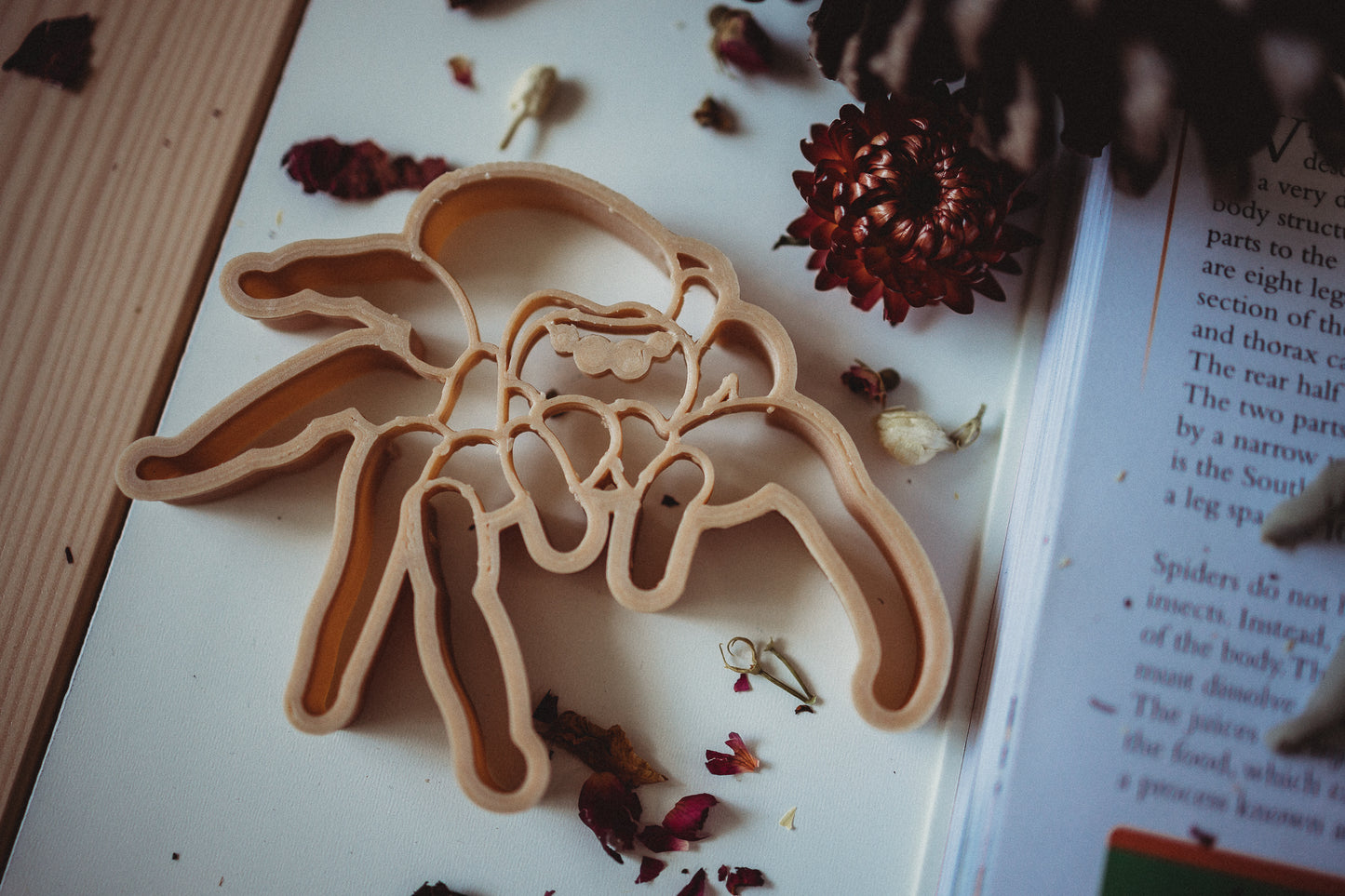 Halloween Playdough Craft Pack