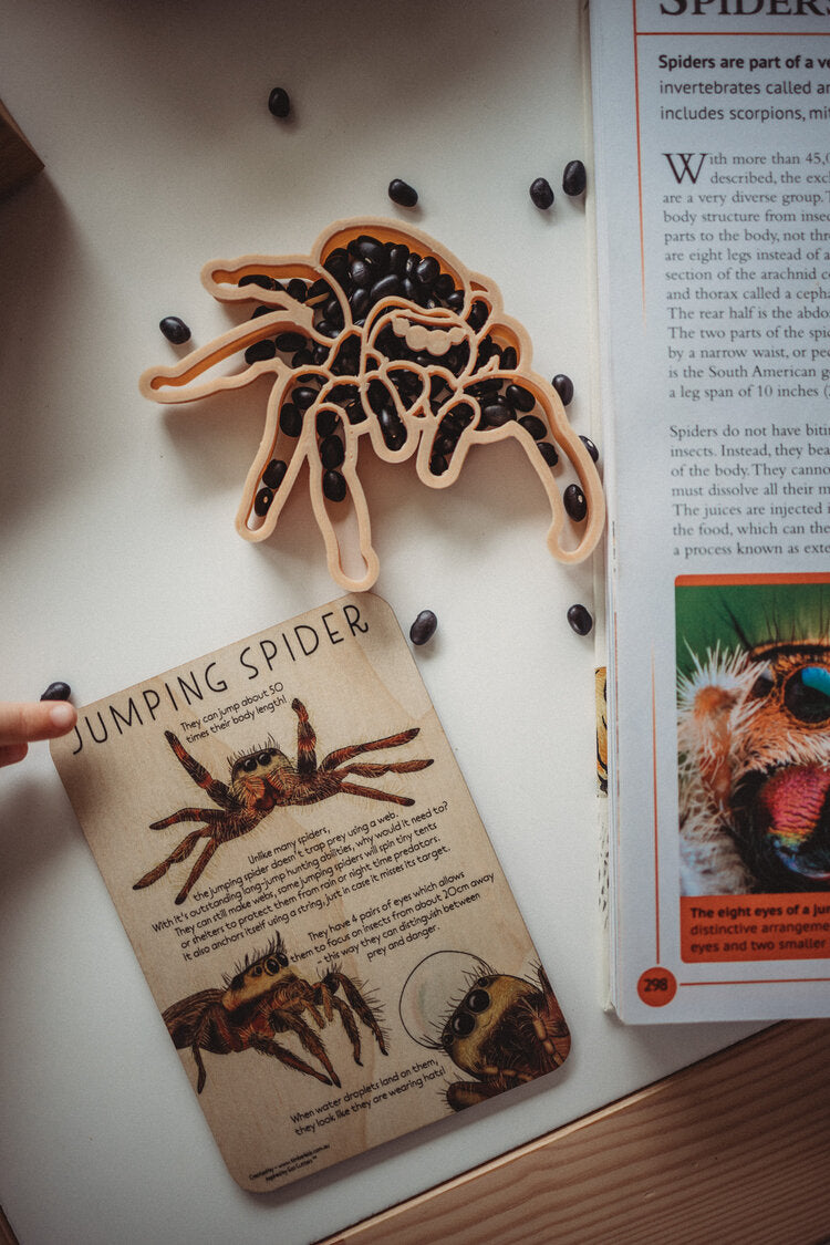Jumping Spider Eco Cutter